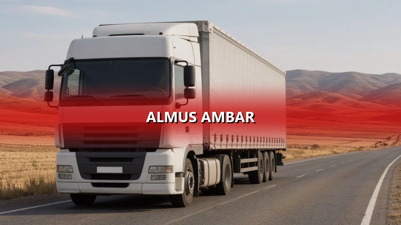 Almus Ambar
