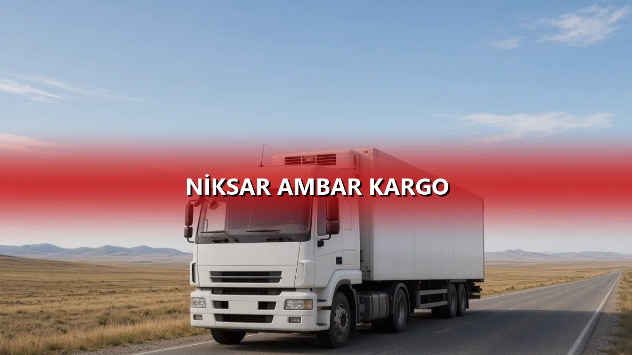 Niksar Ambar Kargo